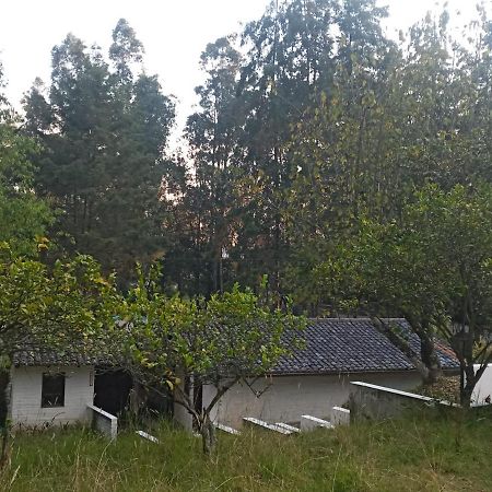 Вилла Quinta Los Eucaliptos Кито Экстерьер фото