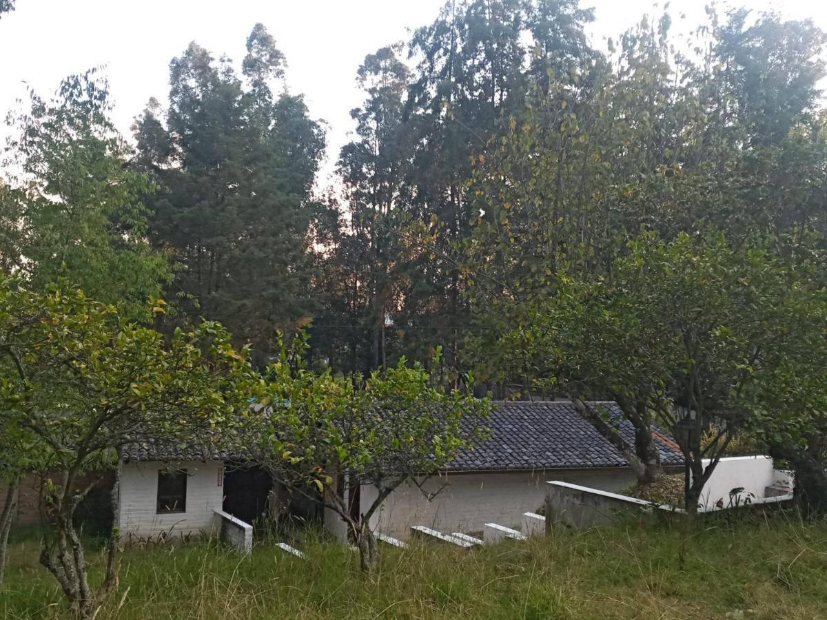 Вилла Quinta Los Eucaliptos Кито Экстерьер фото